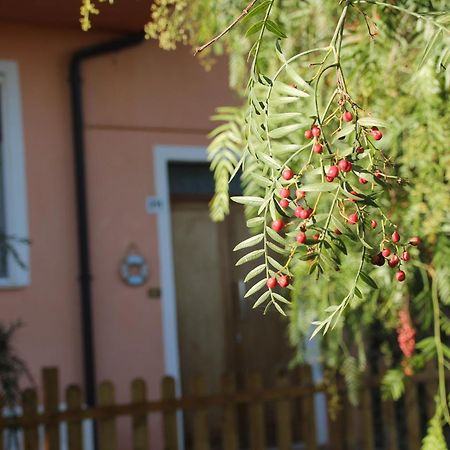 Pepe Rosa Bed and Breakfast Termoli Εξωτερικό φωτογραφία