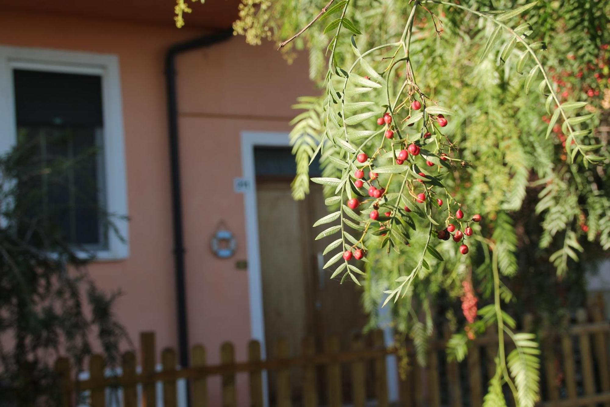 Pepe Rosa Bed and Breakfast Termoli Εξωτερικό φωτογραφία