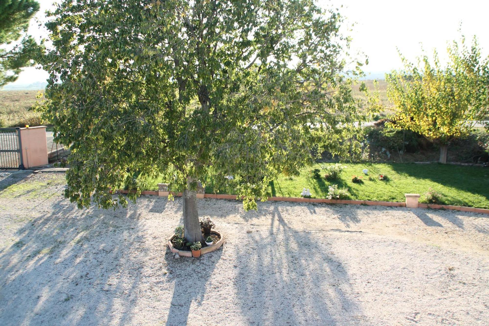 Pepe Rosa Bed and Breakfast Termoli Εξωτερικό φωτογραφία