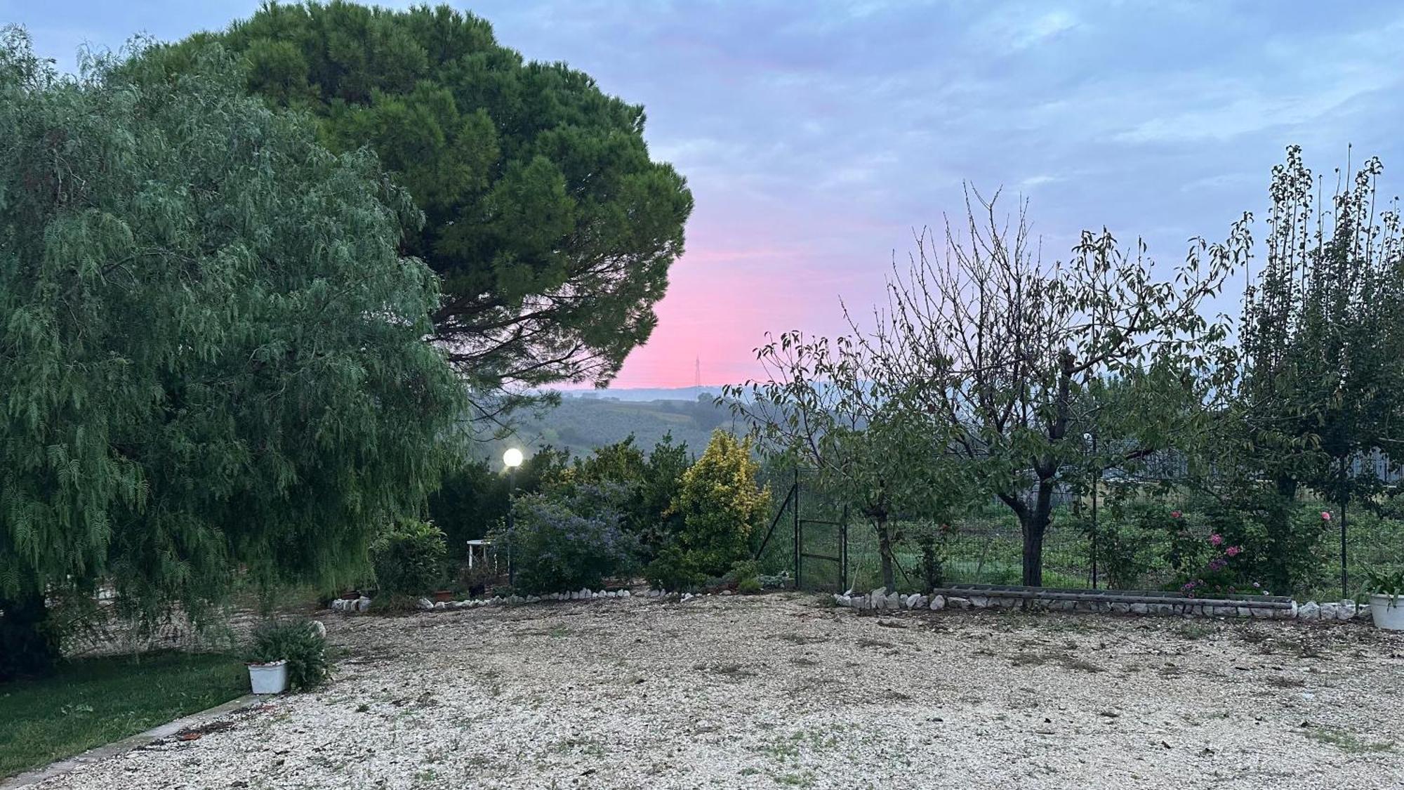 Pepe Rosa Bed and Breakfast Termoli Εξωτερικό φωτογραφία