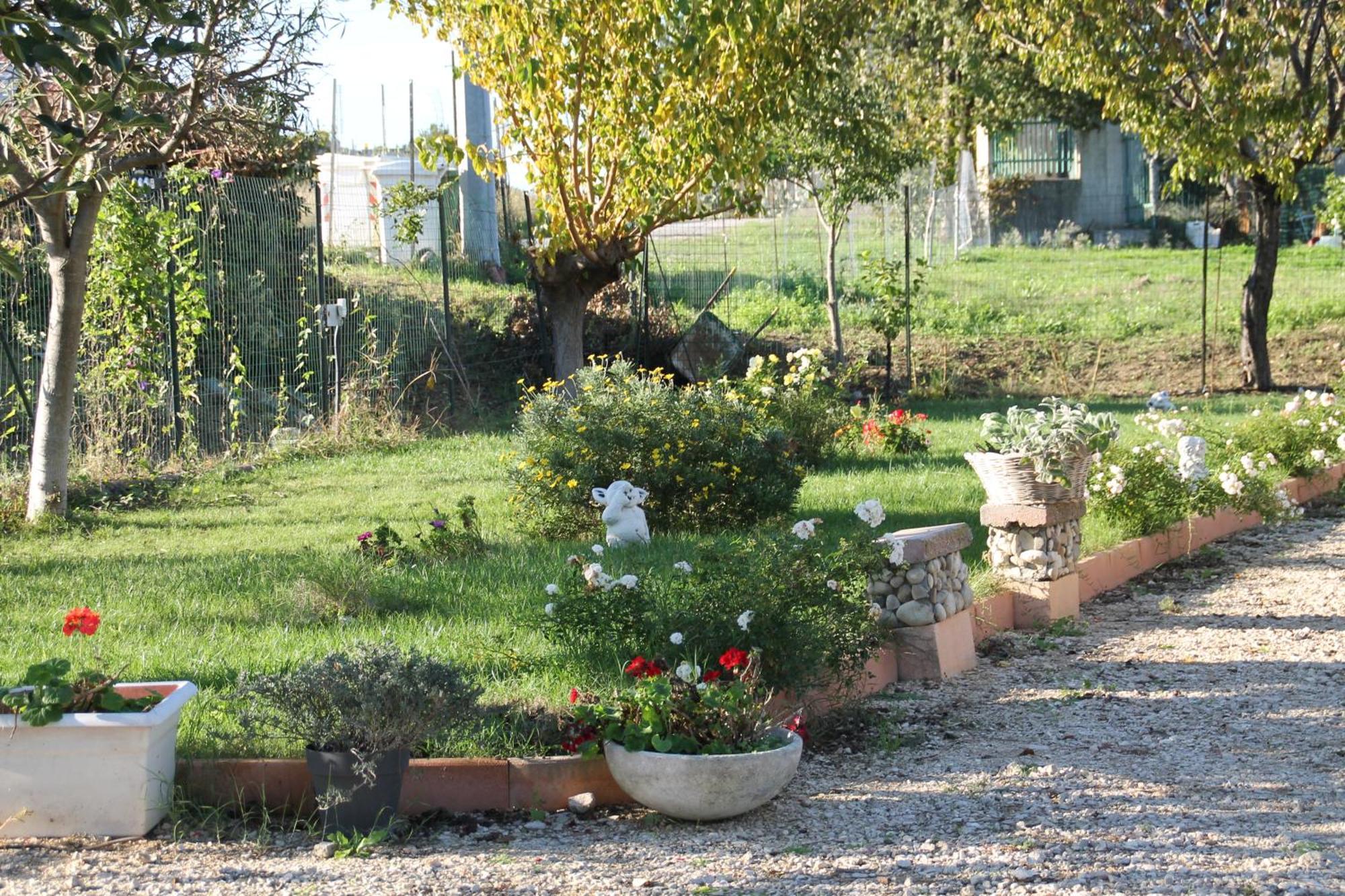 Pepe Rosa Bed and Breakfast Termoli Εξωτερικό φωτογραφία